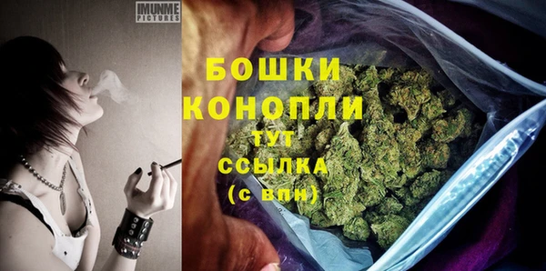 ГАЛЛЮЦИНОГЕННЫЕ ГРИБЫ Арсеньев