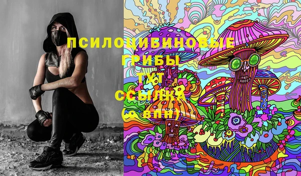 ГАЛЛЮЦИНОГЕННЫЕ ГРИБЫ Арсеньев