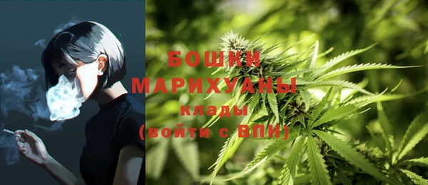 ГАЛЛЮЦИНОГЕННЫЕ ГРИБЫ Арсеньев